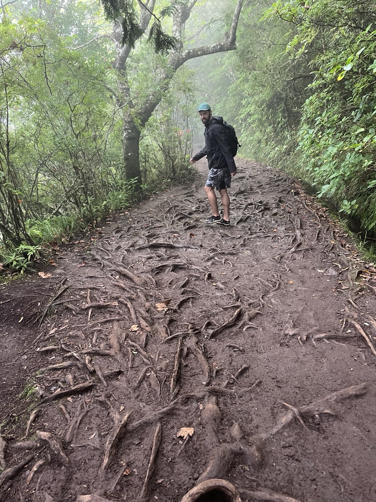 Florin Hilti auf einem Wurzelweg im Nebelwald auf Madeira